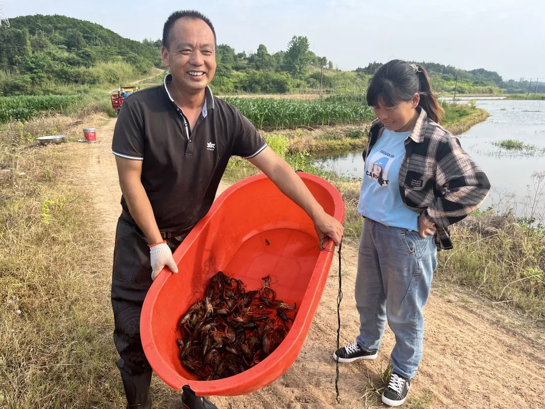 生态农业致富之路_坚持生态种植致富_致富生态平台