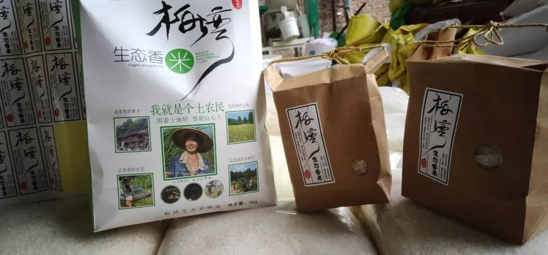 致富种植生态坚持什么原则_坚持生态种植致富_致富生态平台