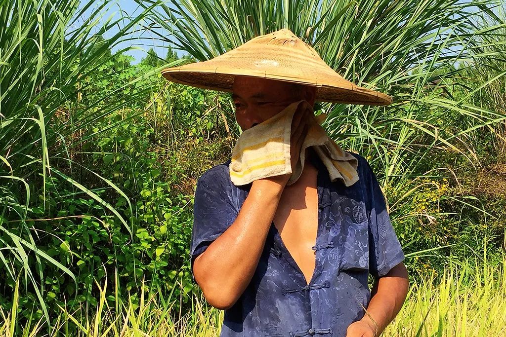 致富生态平台_坚持生态种植致富_致富种植生态坚持什么原则