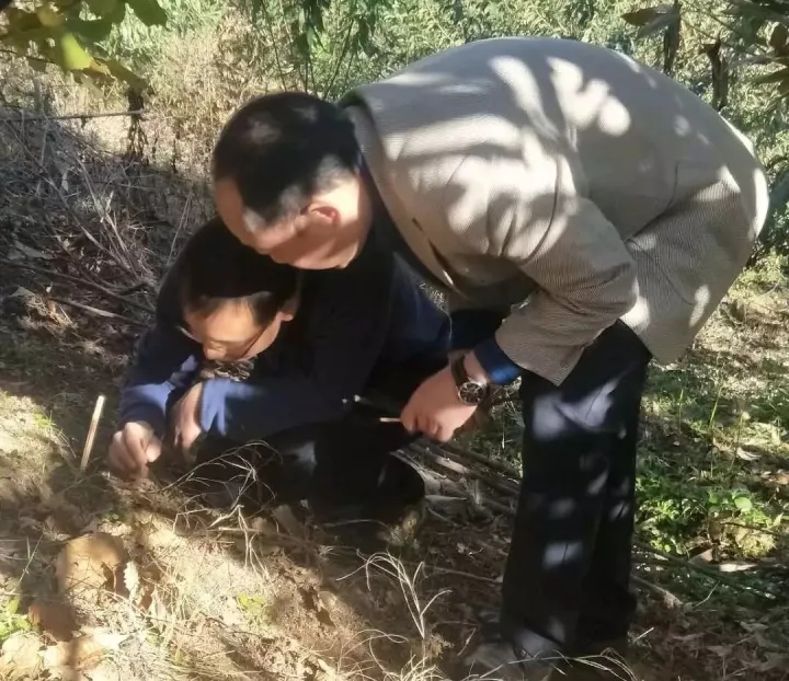 致富之路人工种植_致富之路人工种植_致富之路人工种植