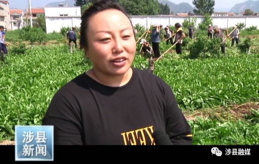 农村致富道路的特点是_致富种植道路特色是什么_特色种植致富道路是什么