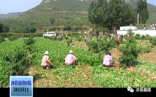 致富种植道路特色是什么_农村致富道路的特点是_特色种植致富道路是什么