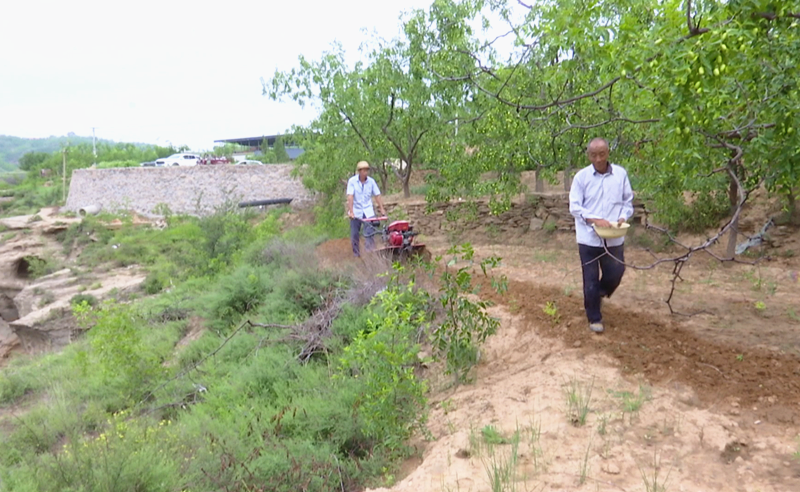 特色种植致富道路是什么_致富种植道路特色是啥_种植致富业