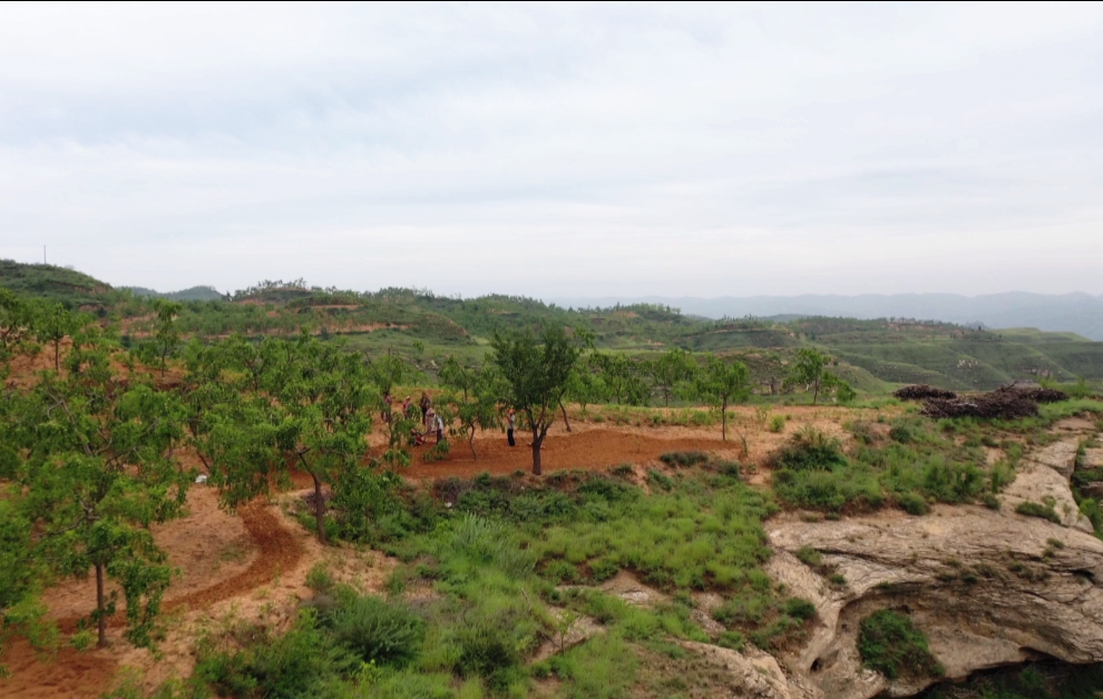 致富种植道路特色是啥_特色种植致富道路是什么_种植致富业