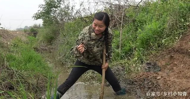 种植地瓜赚钱吗_致富种植地瓜怎么样_地瓜种植致富吗