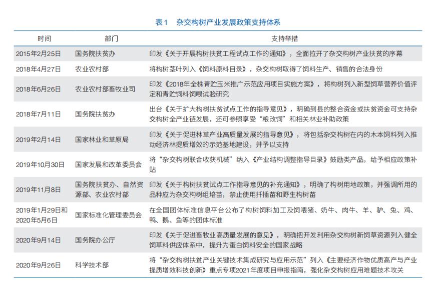 杂交构树产业扶贫实践与成效