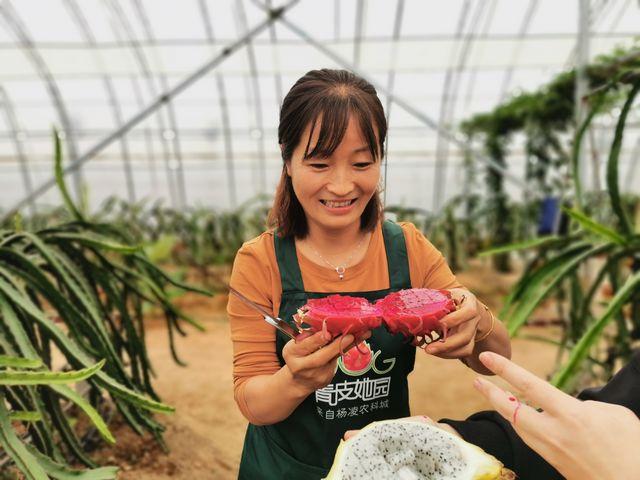 河南甘蔗种植致富_河南种植甘蔗视频_河南种甘蔗一亩地能产多少斤