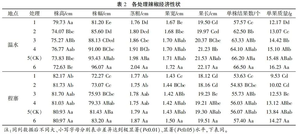 致富经辣椒种植视频_辣椒种植致富采访_辣椒种植产业扶贫