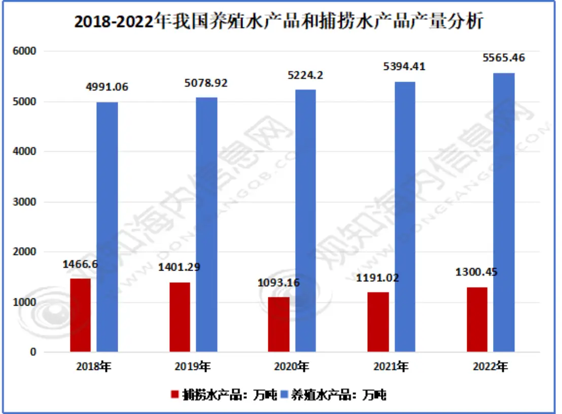 家养红鲫鱼怎么繁殖_如何养红鲫鱼_红鲫鱼养殖技术