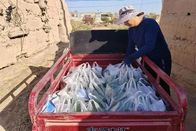 沙葱大棚种植技术_种植沙葱视频_大棚种植技术沙葱视频