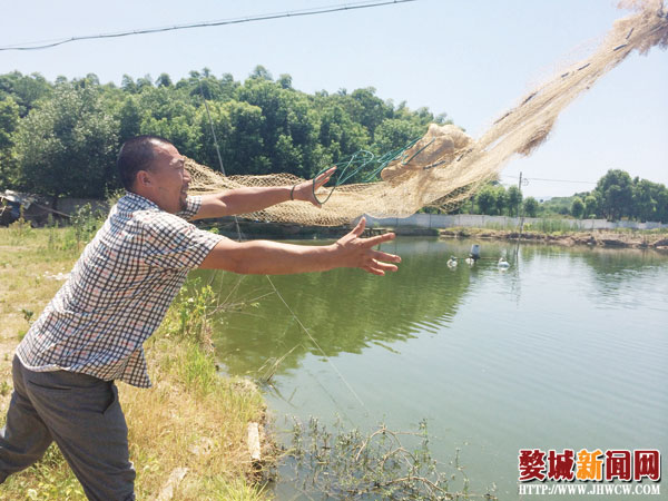 泥鳅养殖致富之路_致富养殖之路泥鳅视频_泥鳅养殖项目