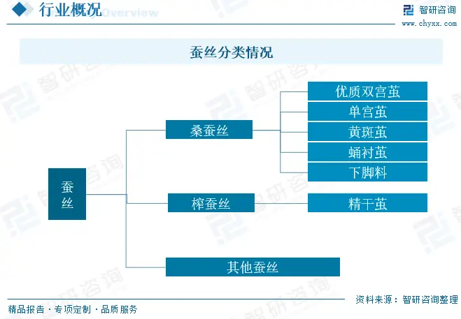 桑蚕养殖新技_桑蚕养殖前景_桑蚕养殖技术