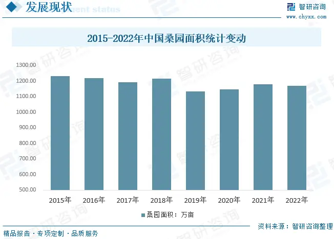 桑蚕养殖新技_桑蚕养殖技术_桑蚕养殖前景